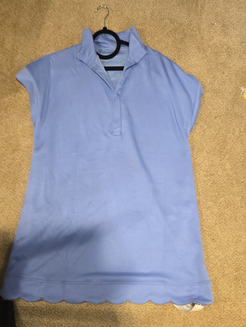 Blue Solid Scalloped Hem Button Neck Pullover Mini Dress